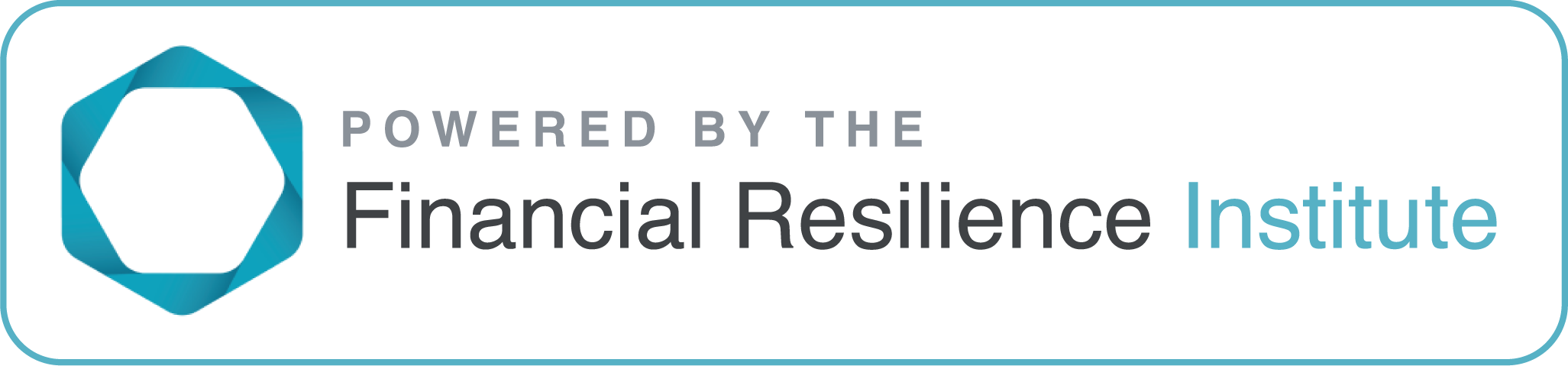 Powered by the Financial Resilience Institute